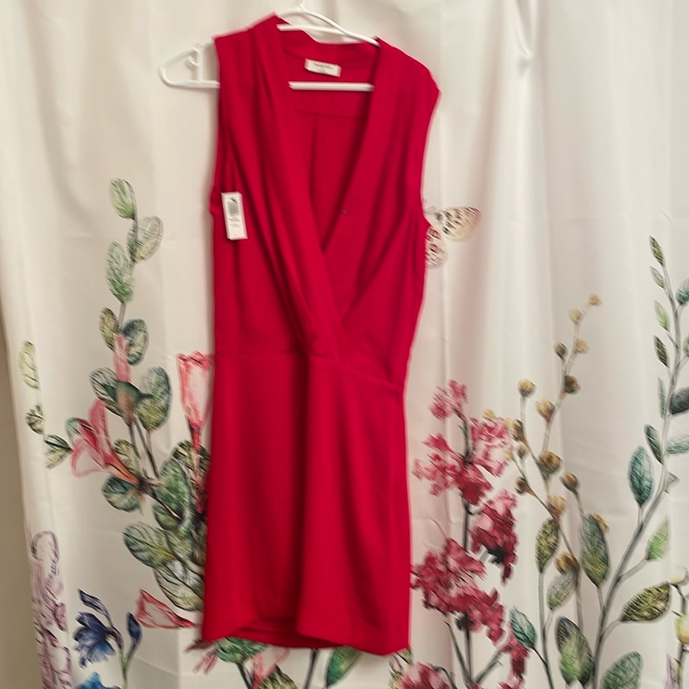 Babaton Aritzia Phoenix Dress